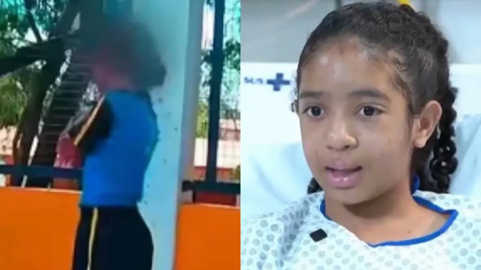 Adolescente atacada por abelhas deixa hospital após uma semana em Minas Gerais