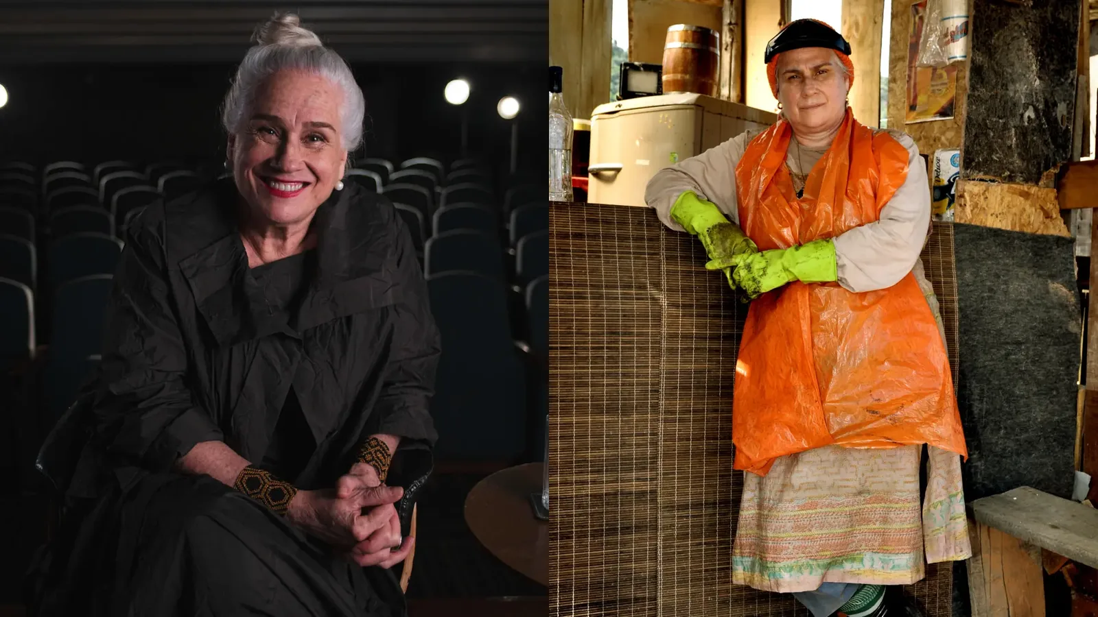 Vera Holtz mantém foco no teatro e fica fora da continuação de Avenida Brasil