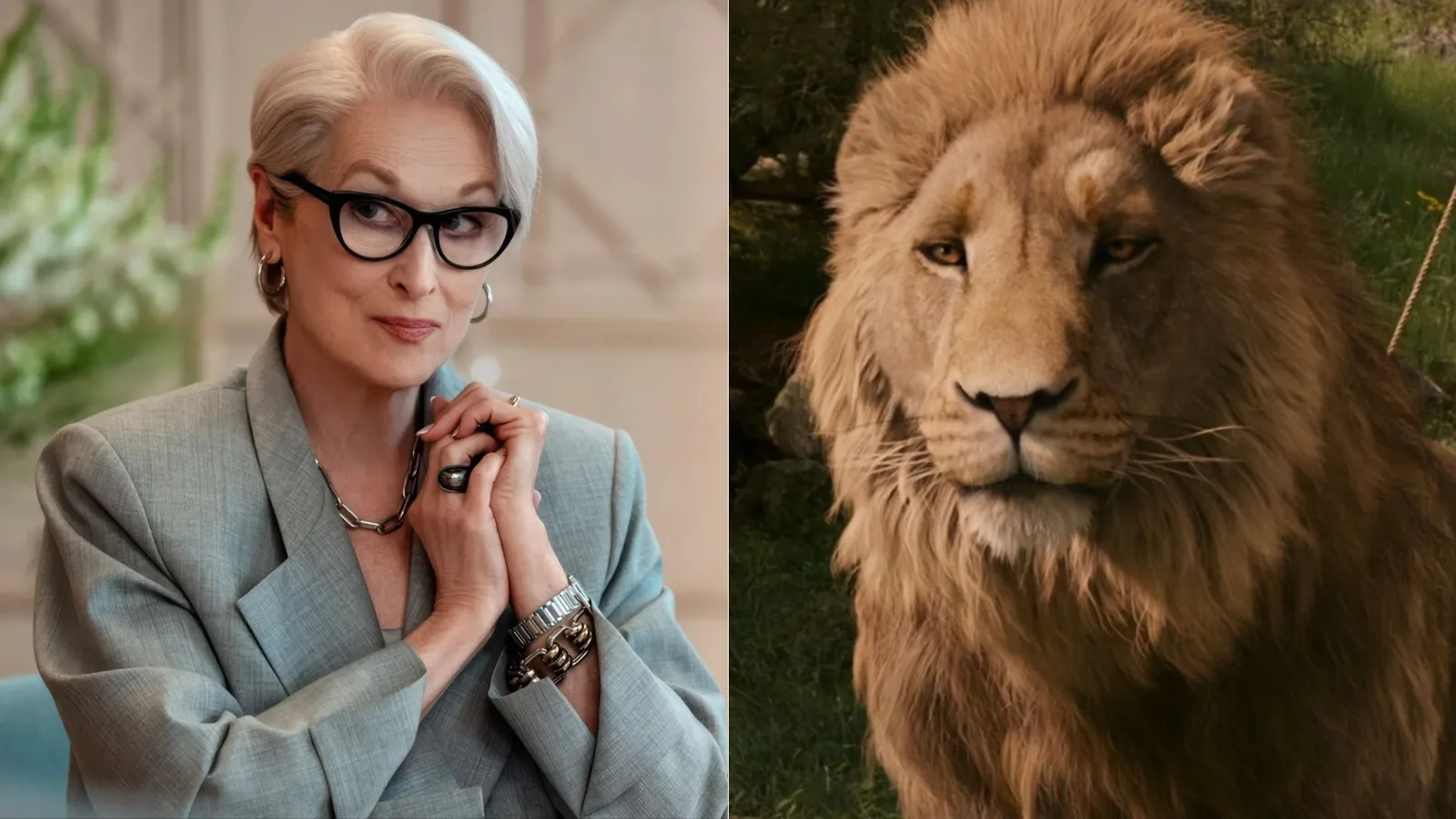 Aslan terá voz de Meryl Streep em adaptação de Nárnia dirigida por Greta Gerwig