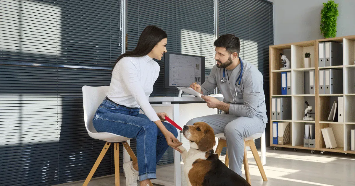 Como avaliar a dieta de cães e gatos na velhice