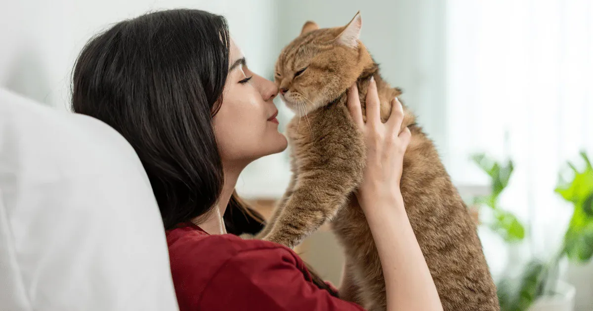 Como cães e gatos escolhem suas companhias preferidas