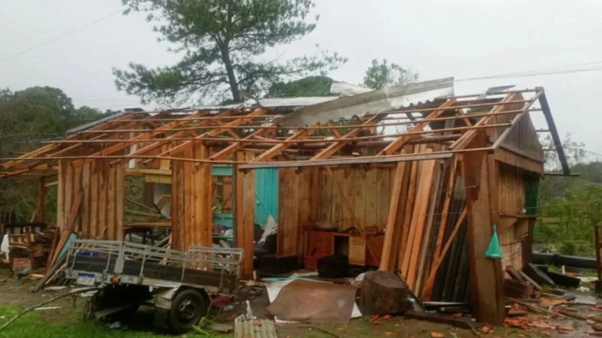 Eucalipto cai sobre casa durante temporal em Três Barras, em SC