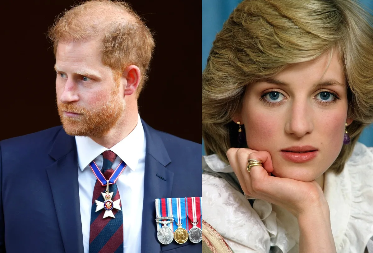 Projeto sobre Diana aproxima Harry de antigos amigos da princesa
