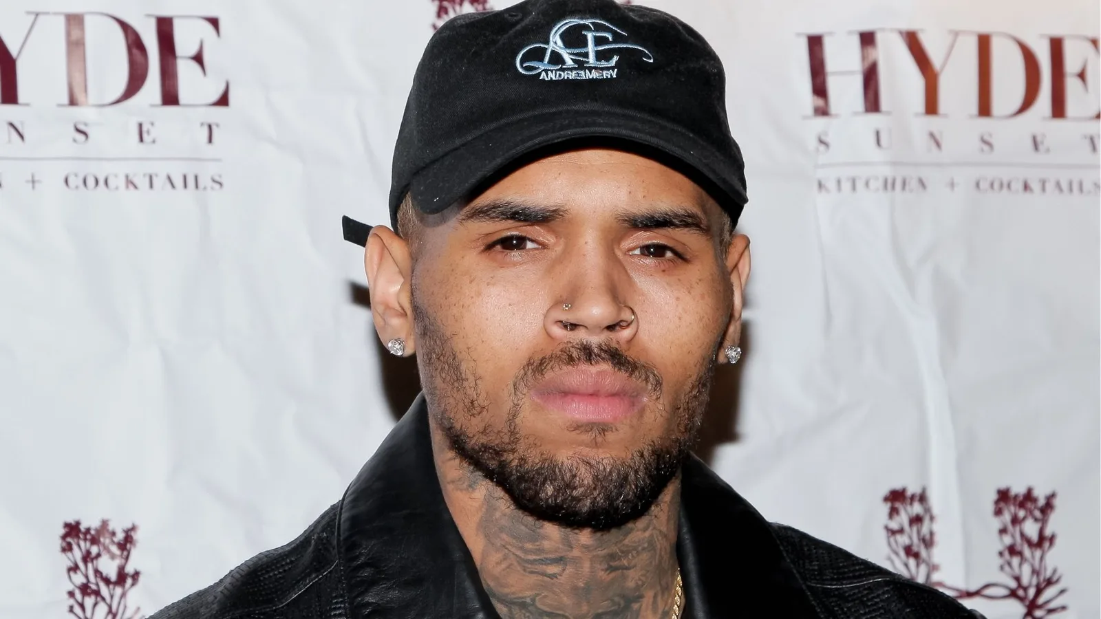 Juiz sinaliza corte em indenização de Chris Brown por ataque de cachorro