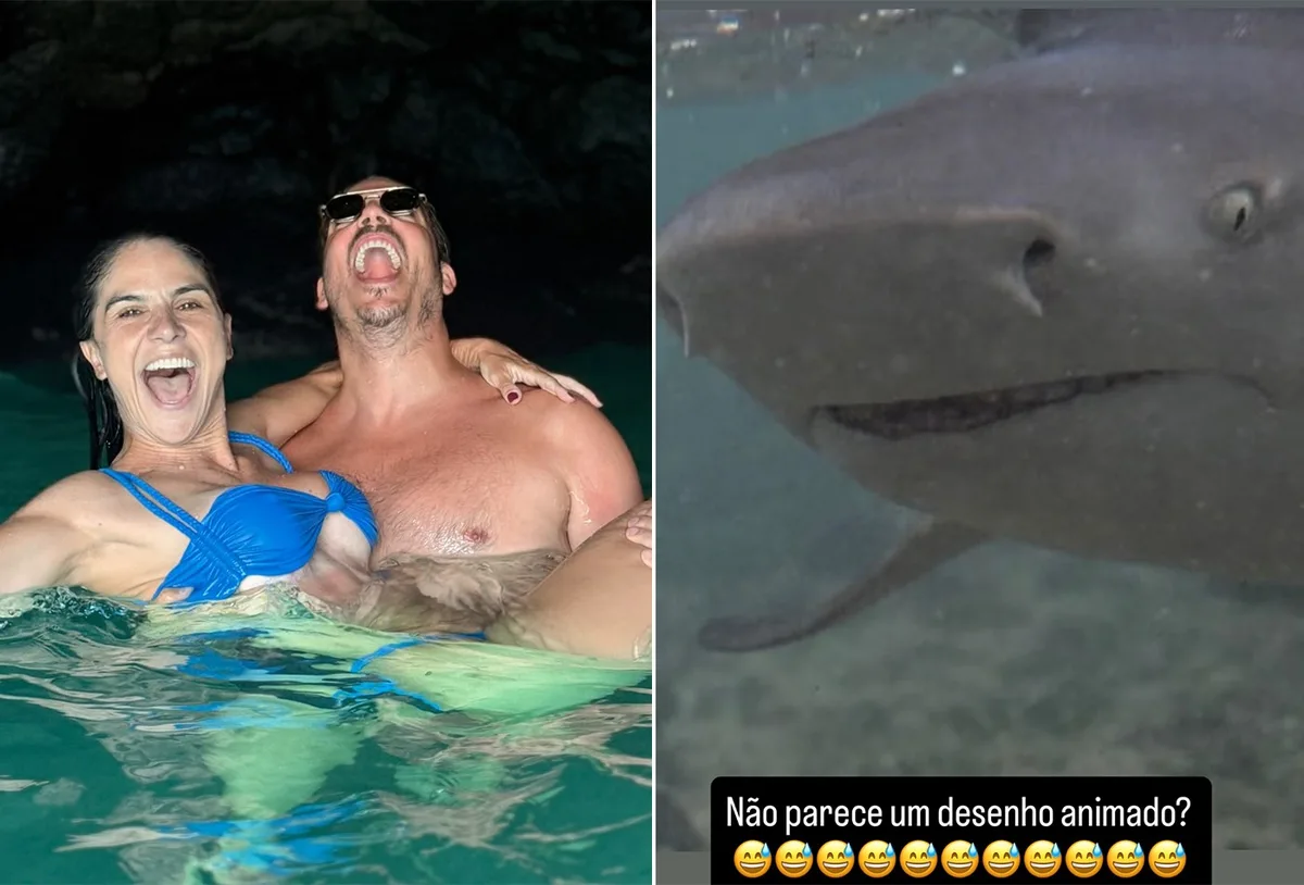 Fabio Porchat e Priscila Castello Branco nadam com tubarões em Cabo Verde