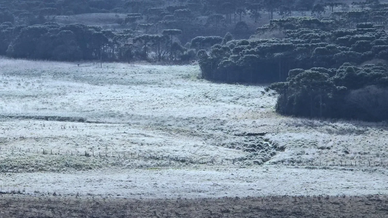 Geada e temperaturas abaixo de zero marcam feriado no Sul