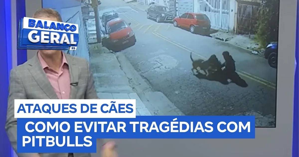 Ataques de pitbulls reforçam dever de cuidado dos tutores no Brasil