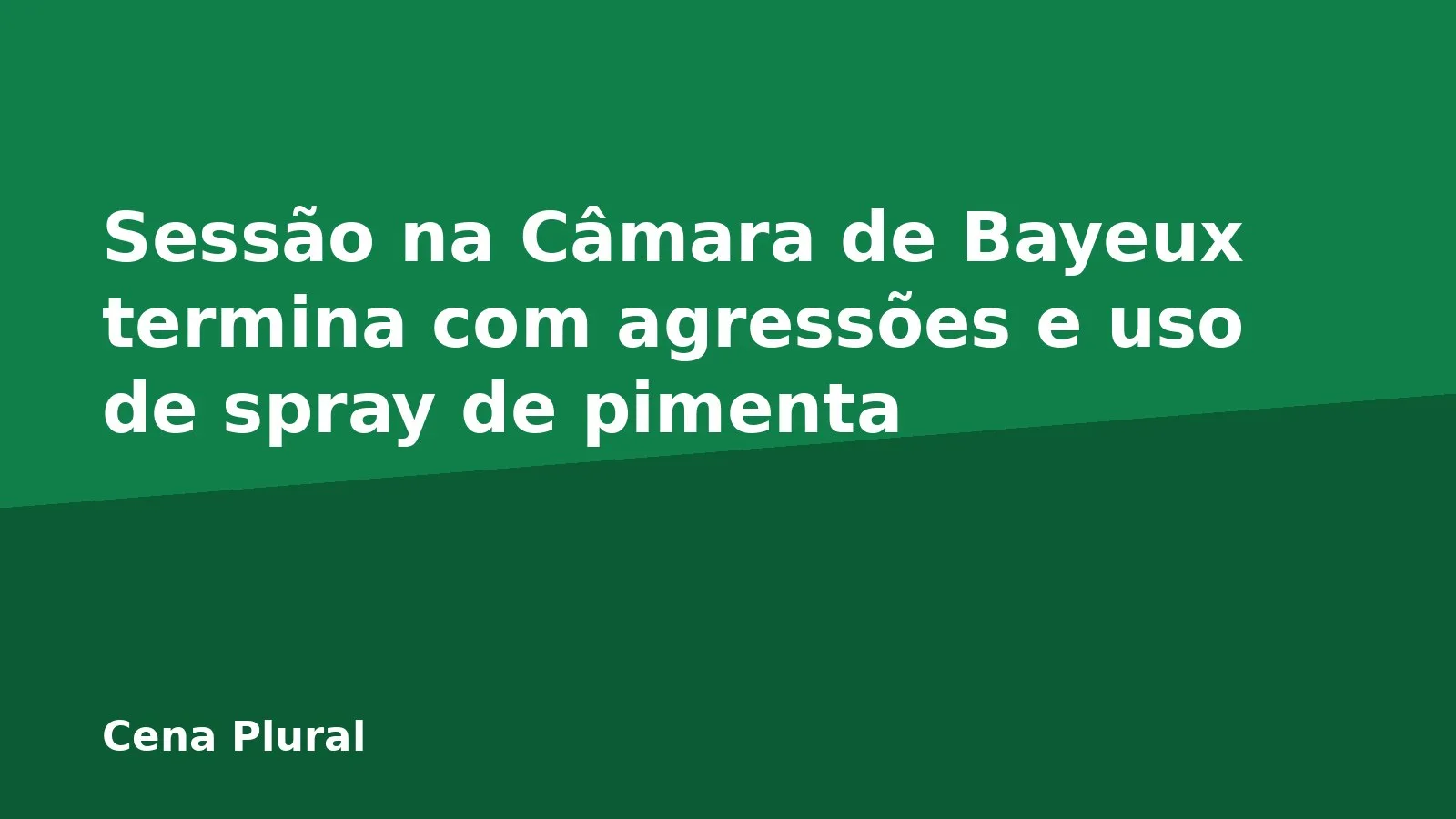Sessão na Câmara de Bayeux termina com agressões e uso de spray de pimenta