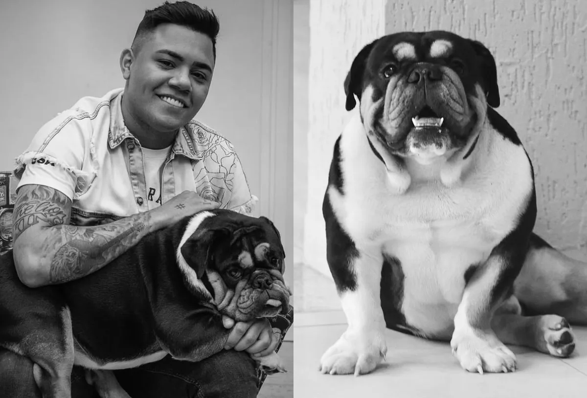 Felipe Araújo se despede de cachorro batizado em homenagem a Zezé Di Camargo