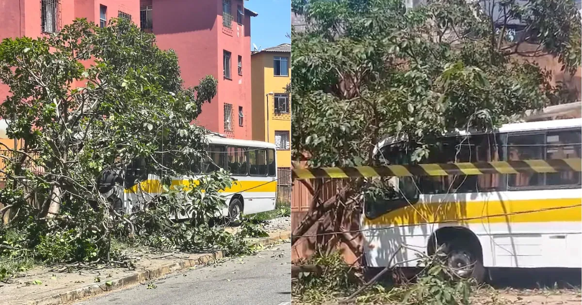 Ônibus escolar bate em poste e árvore após perder freio em Belo Horizonte