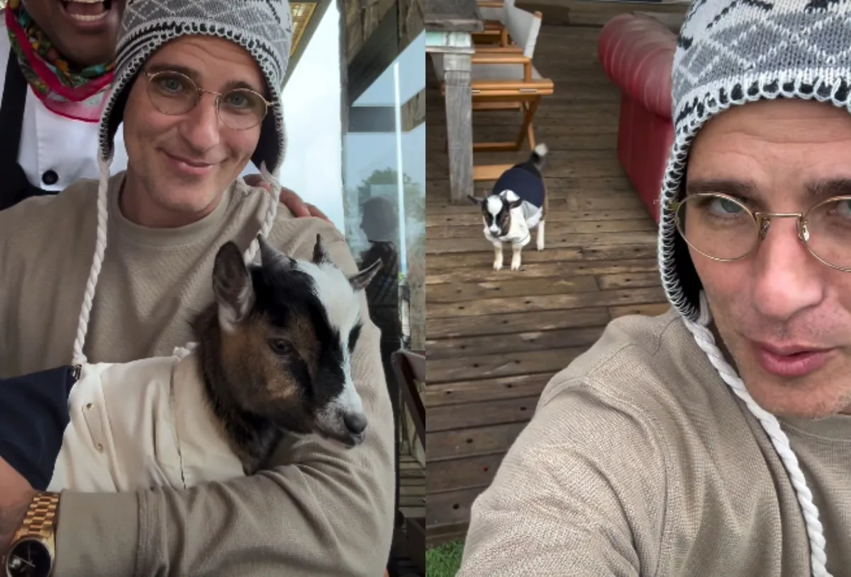 Bruno Gagliasso apresenta mini-bode dado de presente a Giovanna Ewbank