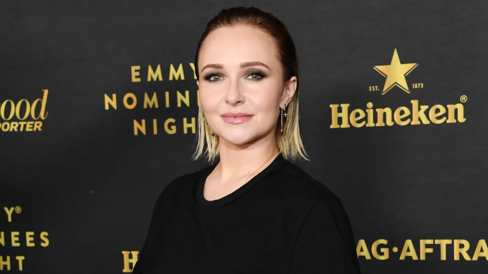 Pedido de Klitschko cita segurança e bens de Hayden Panettiere