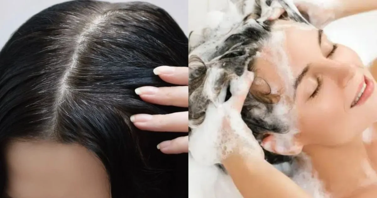 Shampoo tonalizante une lavagem e cobertura temporária dos fios brancos