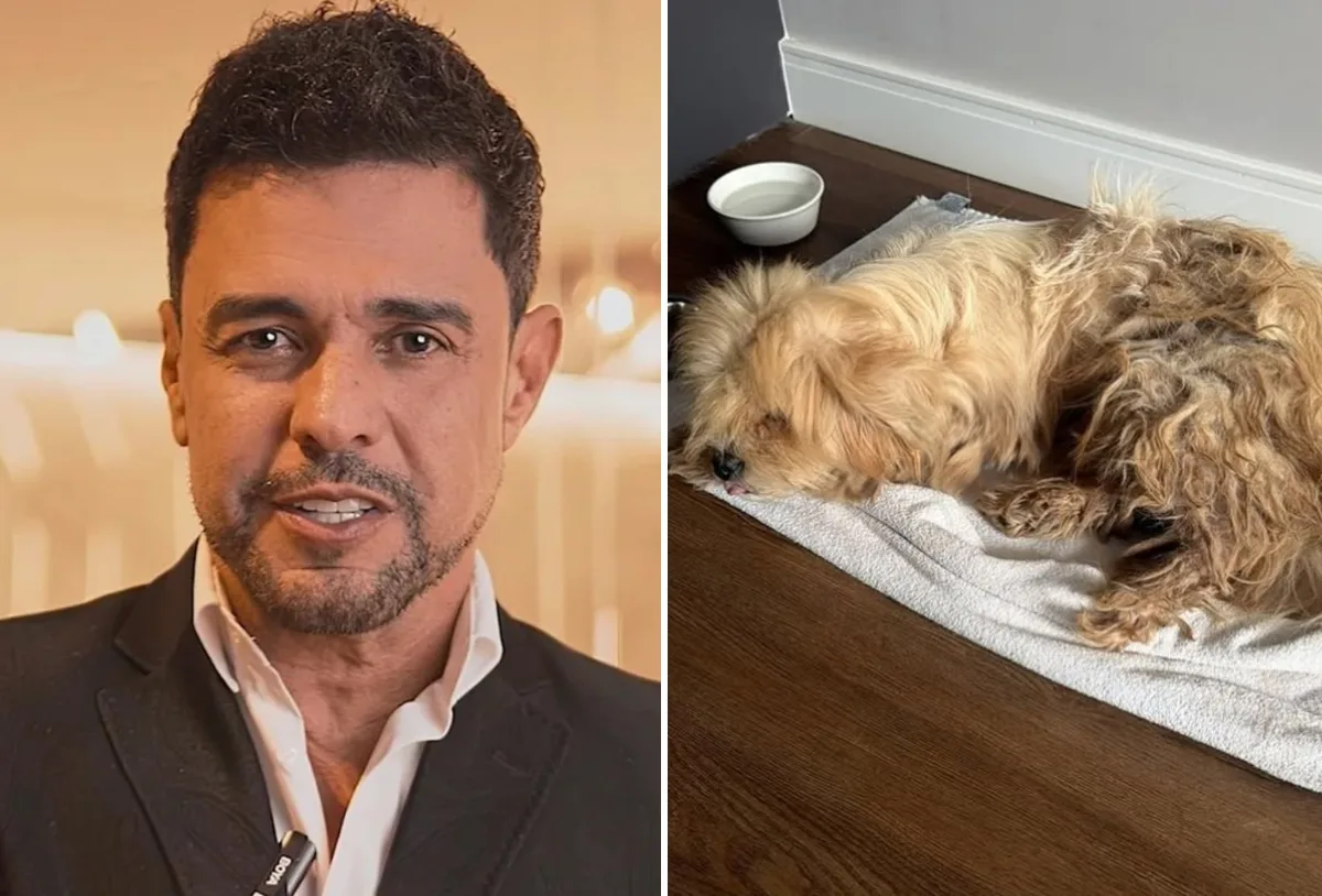 Zezé Di Camargo adota cachorro encontrado antes de show em Presidente Prudente