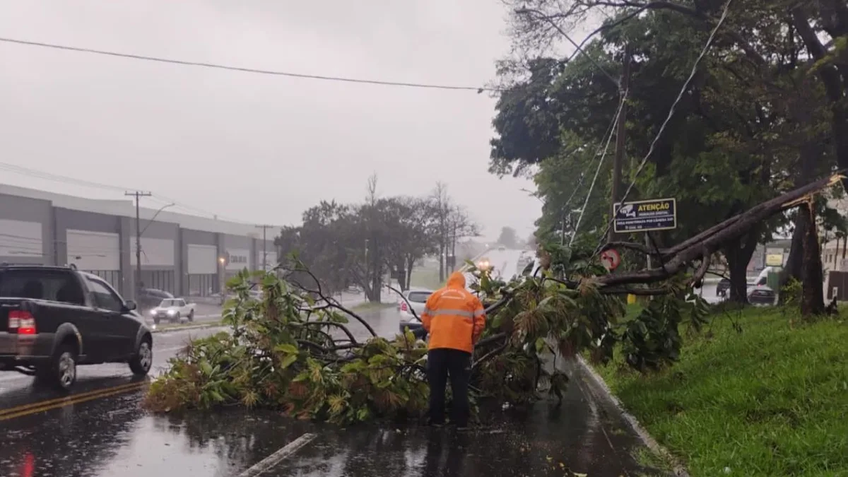 Chuva leva Defesa Civil de SP a enviar 15 alertas pelo celular