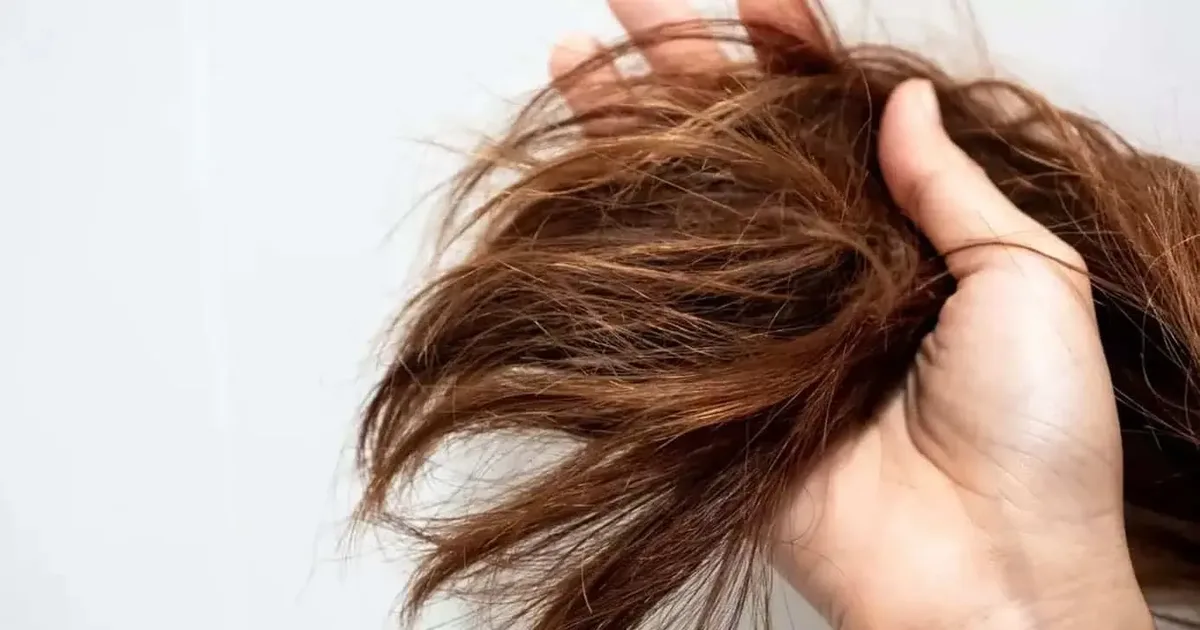 Calor, atrito e falta de hidratação: o que pode deixar o cabelo opaco