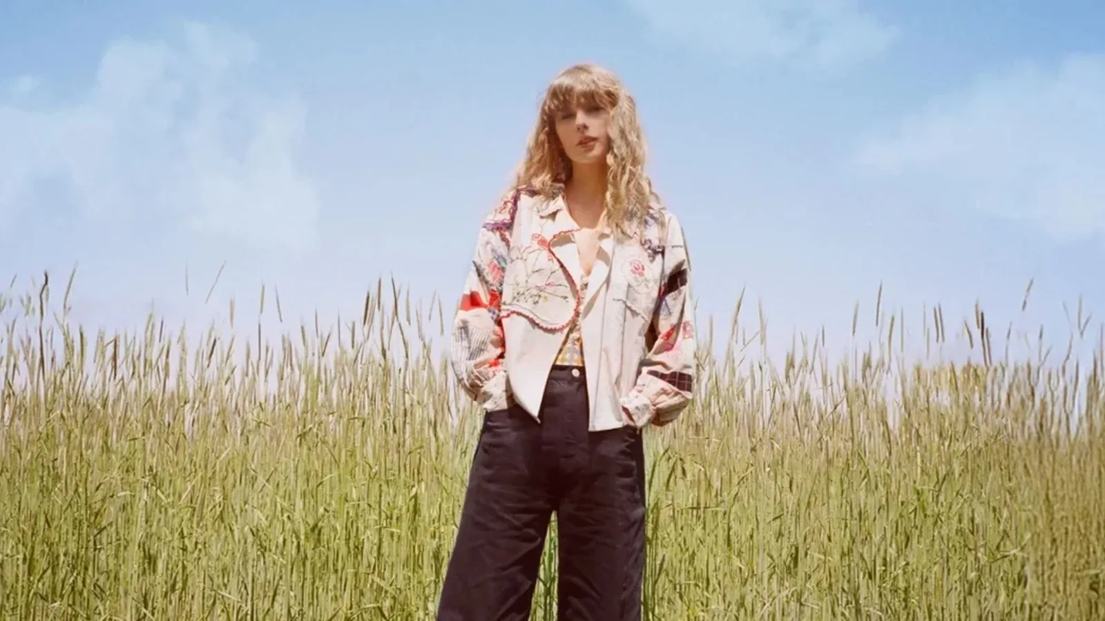 Quatro espécies de percevejos recebem nomes ligados a Taylor Swift