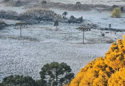 Massa polar leva RS a 47 dias de mínimas negativas em 2026