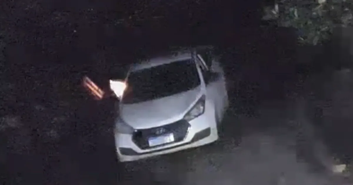Casal é preso após suspeita de incendiar cão no Alto da Boa Vista