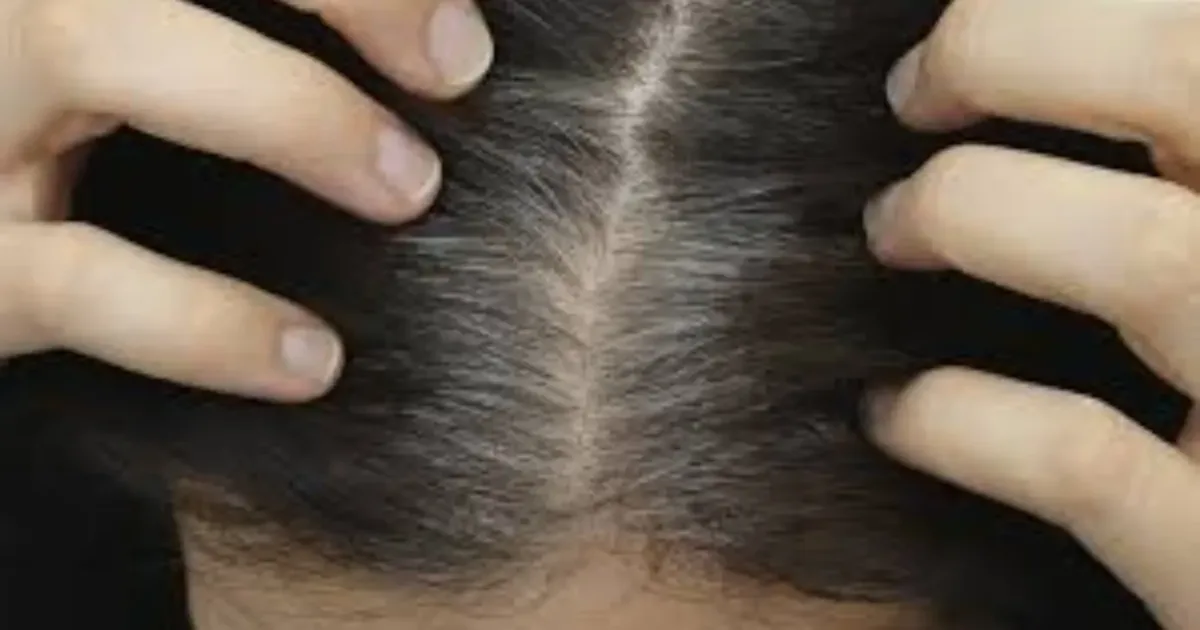 Blending aposta na mistura de cores para acompanhar o crescimento dos grisalhos