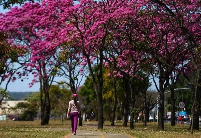 Equinócio inaugura a primavera no Hemisfério Sul nesta terça-feira