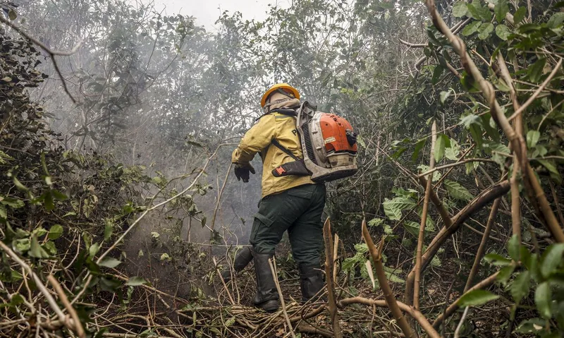 Ministros apontam ação humana por trás de incêndios no Amazonas